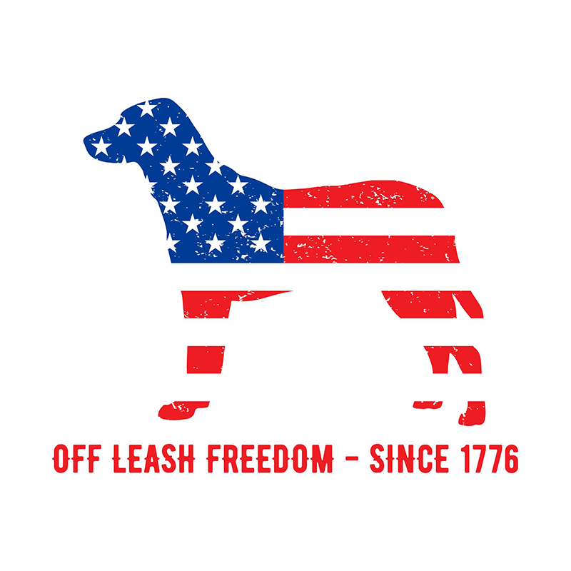 american patriotic dtf transfer designs